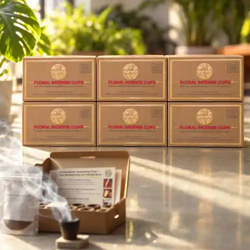 Pack of 6 & 12