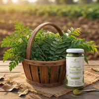 Traditional Greens Blend – Moringa & Curry Leaf Powder (150 g) 4