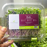 Salad Mix Bundle - Microgreens (Radish Trio + Exotic Mix) + Baby Greens 2