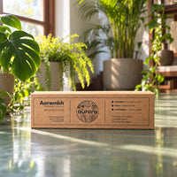 Aurora Dasangam Duo + Free Aarambh Starter Set — Monsoon Offer 4