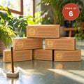 Aurora Dasangam Incense Sticks — Pack of 6