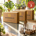Aurora’s Dasangam Cow Dung Incense Cups – Pack of 3