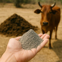 Aurora's Cow Dung Ash from Desi Cows (Pack of 2) 2
